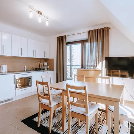 アパート Szafir Mozaika Centrum Piec Kominkowy ザコパネ